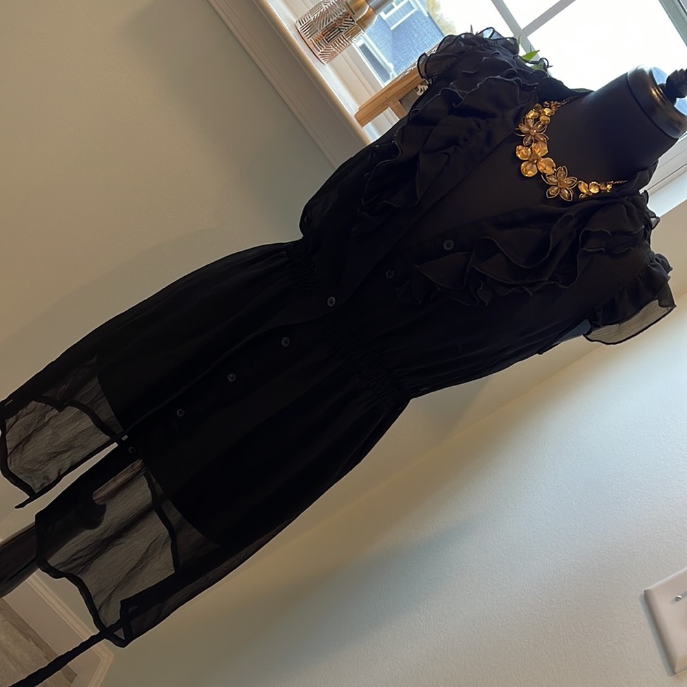 SHEER DRESS - Picture 2 of 5